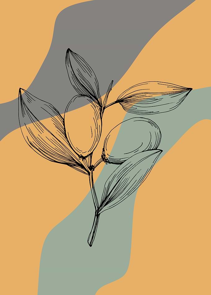 Jojoba Minimalist