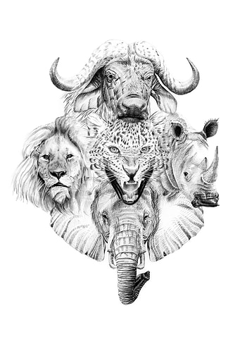 Big African five animal