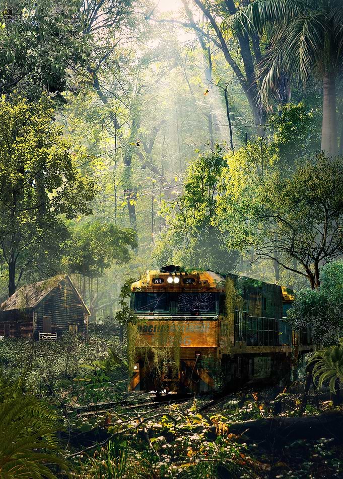 Abandonded Train