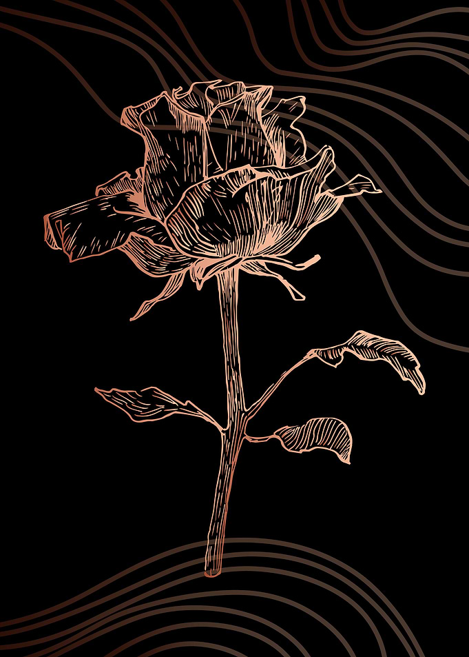 Rosa