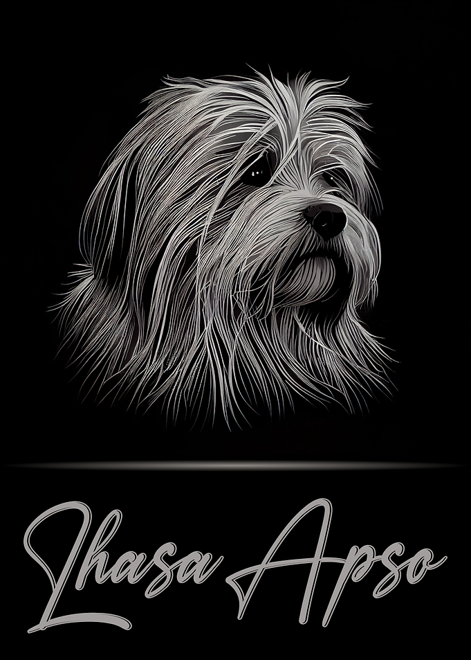Lhasa Apso