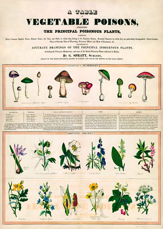 Botanical school