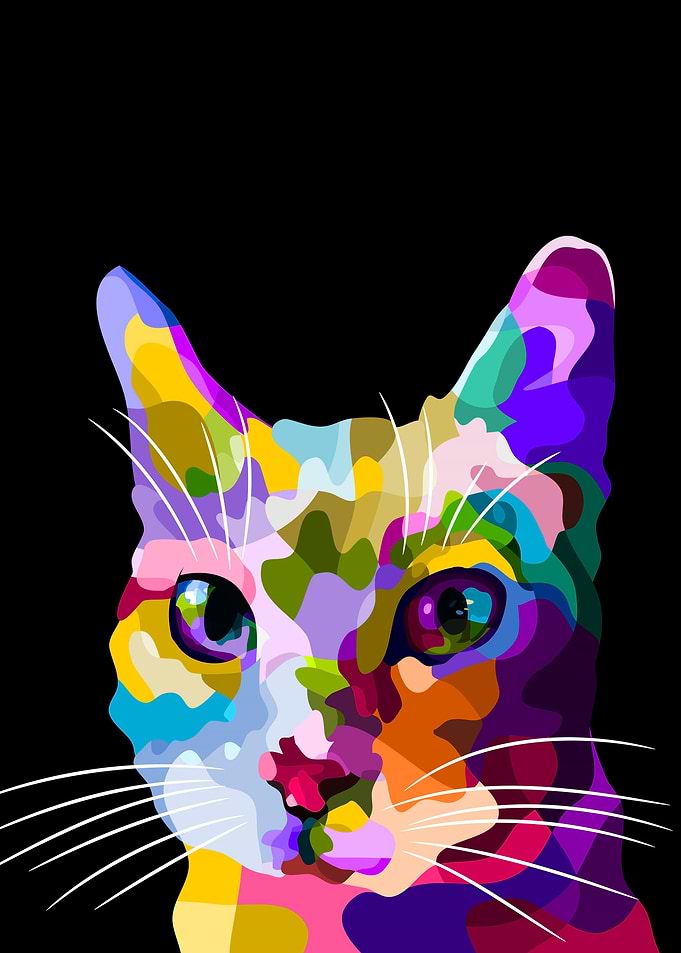 Colorful cat face