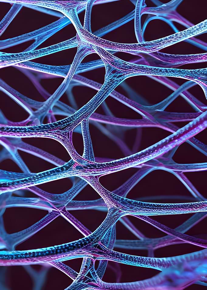 Bio Web