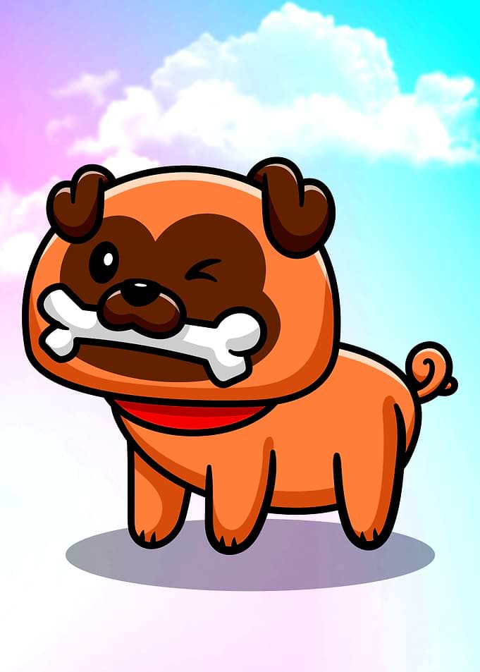 Pug