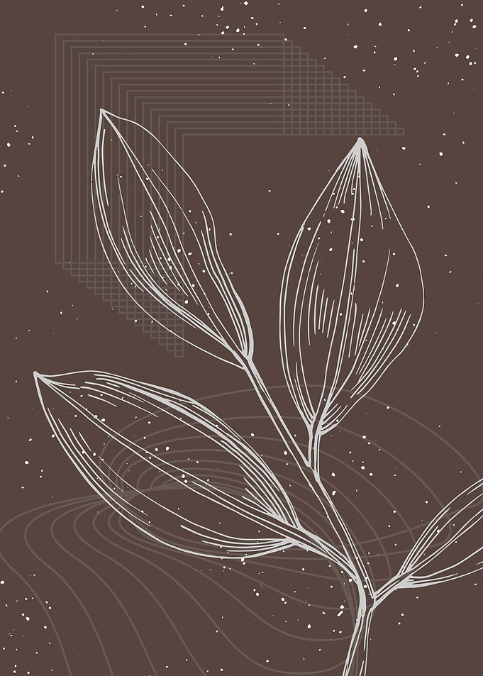 Jojoba Minimalist