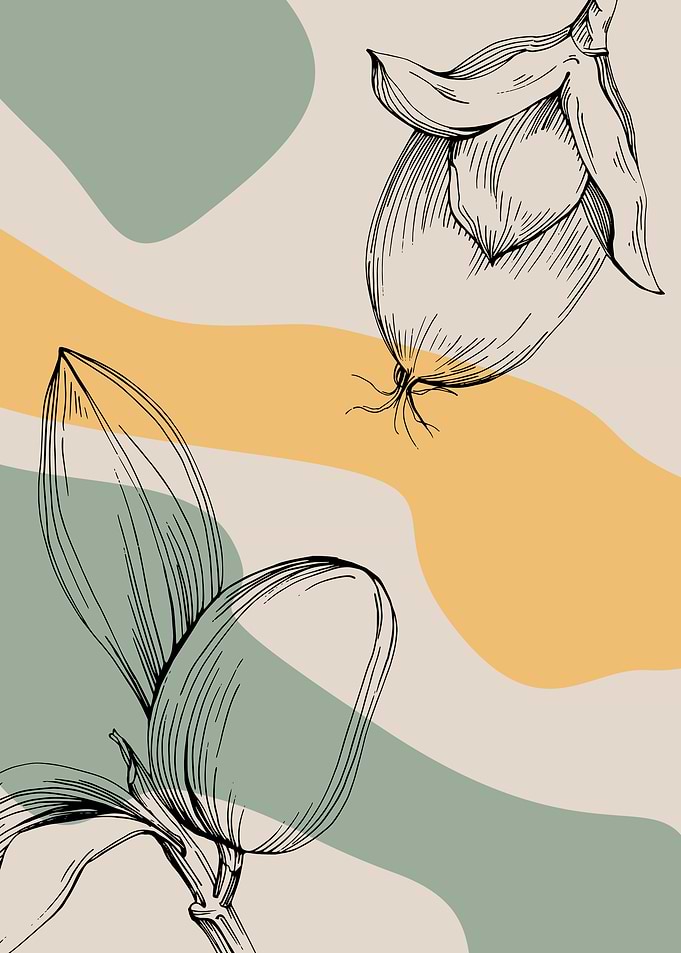 Jojoba Minimalist