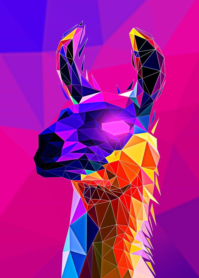 Llama portrait