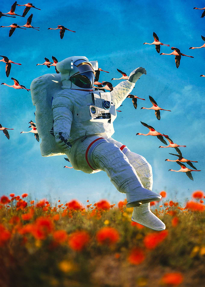 Flight Apprentice