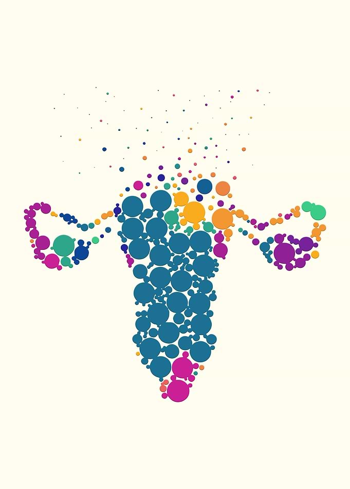 Uterus