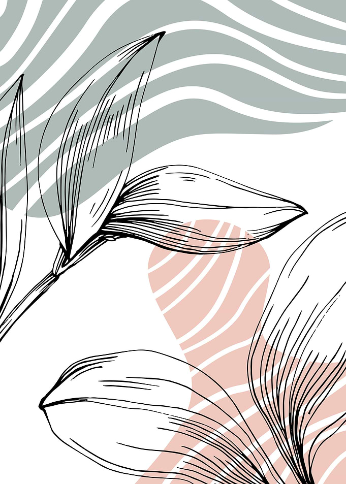 Jojoba