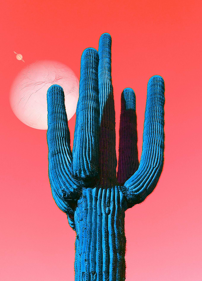 Into the Desert