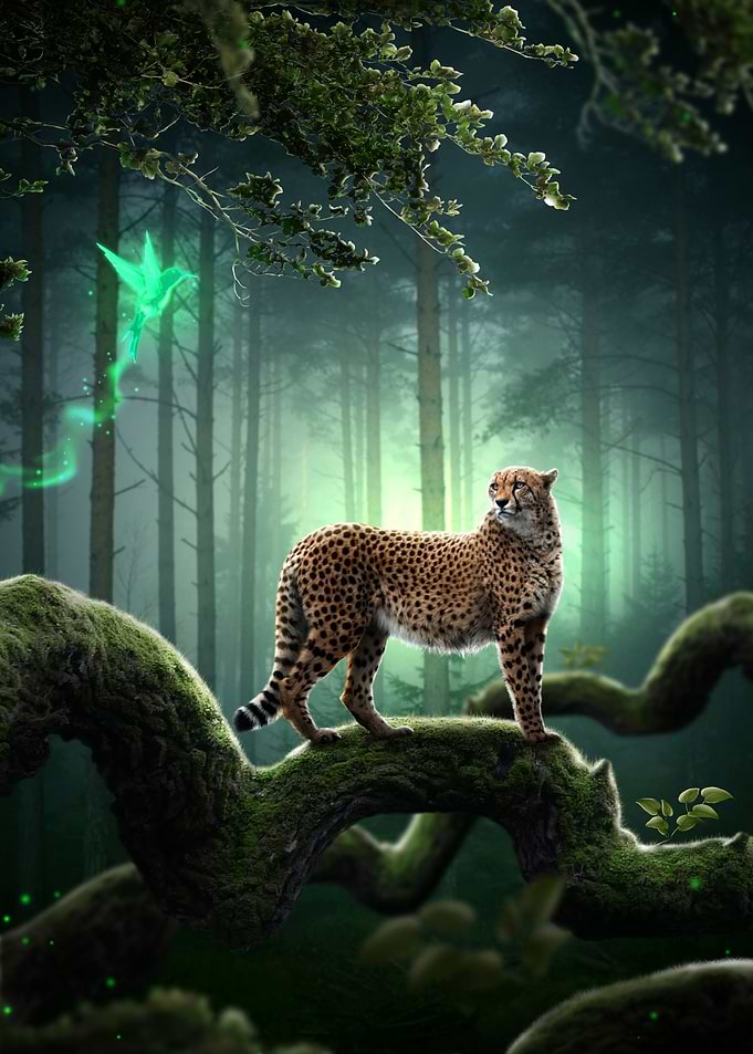 Magical Forest Cheetah