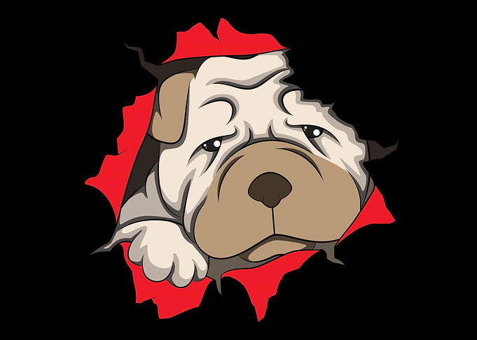 Shar Pei