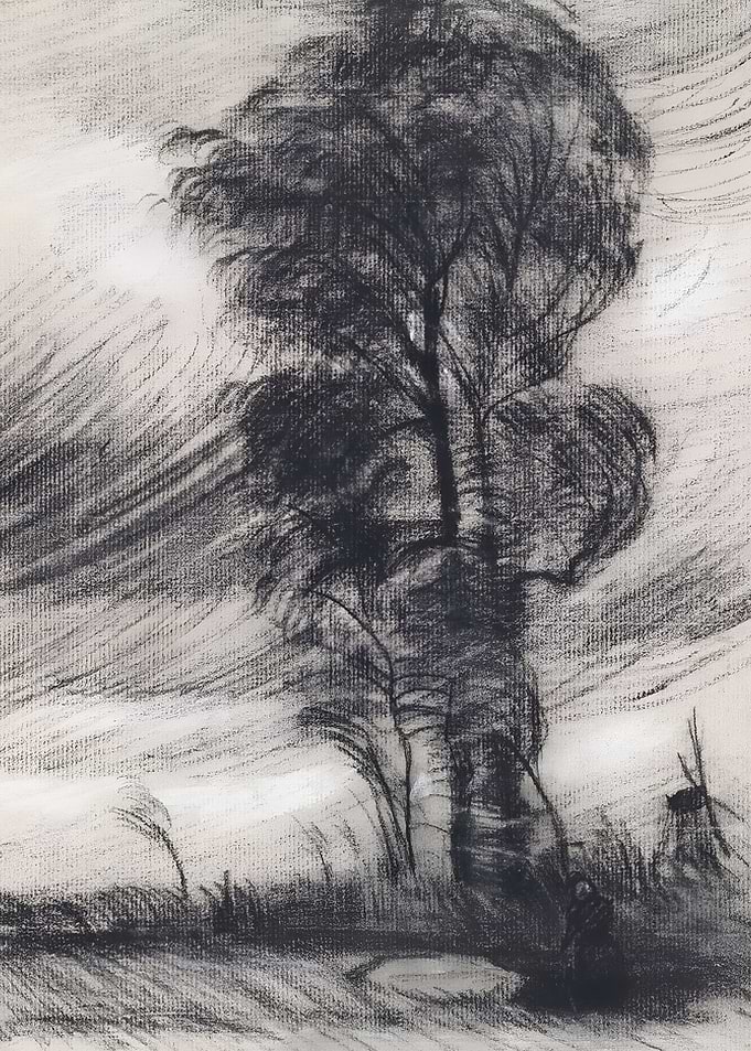 Landscape in Stormy