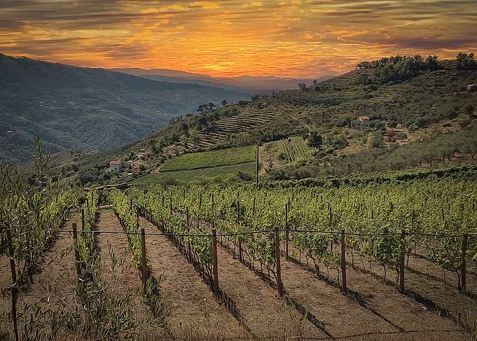 Countryside of Liguria