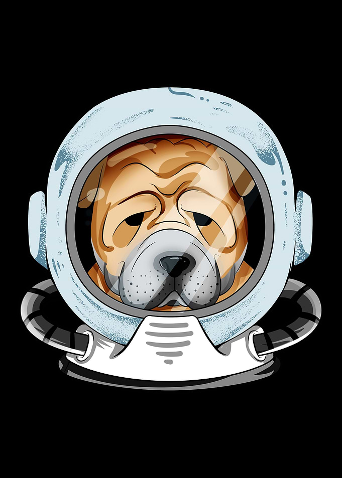 Shar Pei Universum Astrona