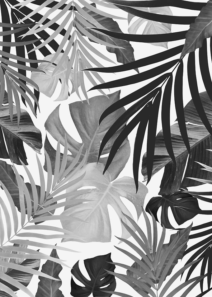 Tropical Jungle Leaves 16