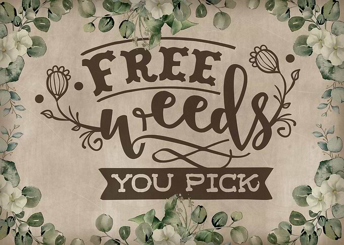 Free weeds you pick
