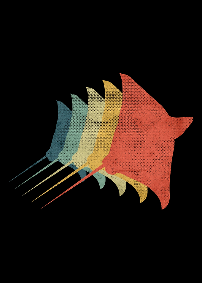 Stingray Retro Vintage