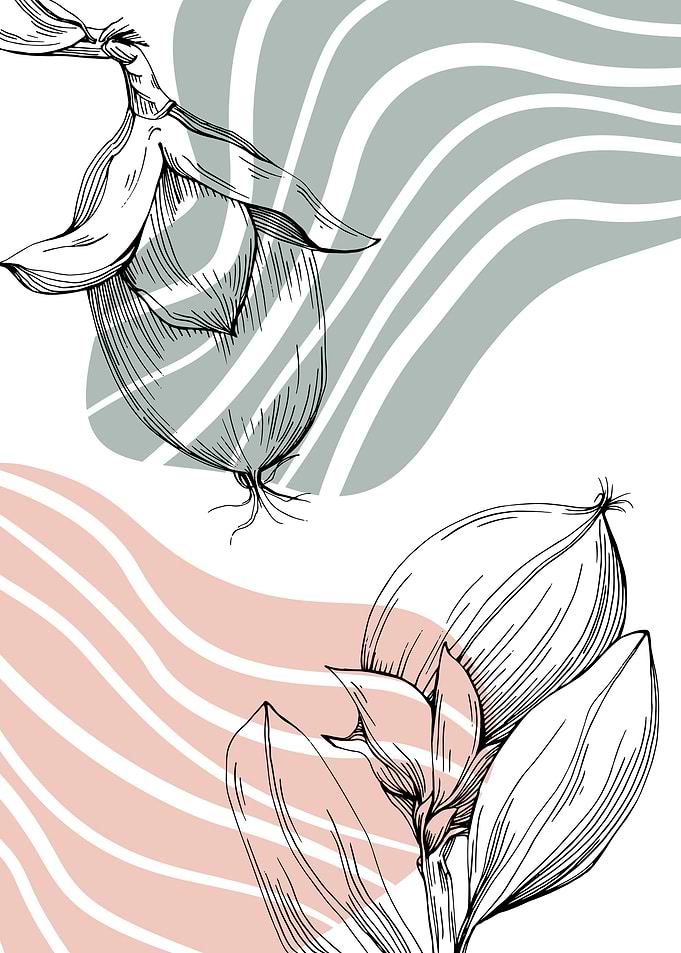 Jojoba