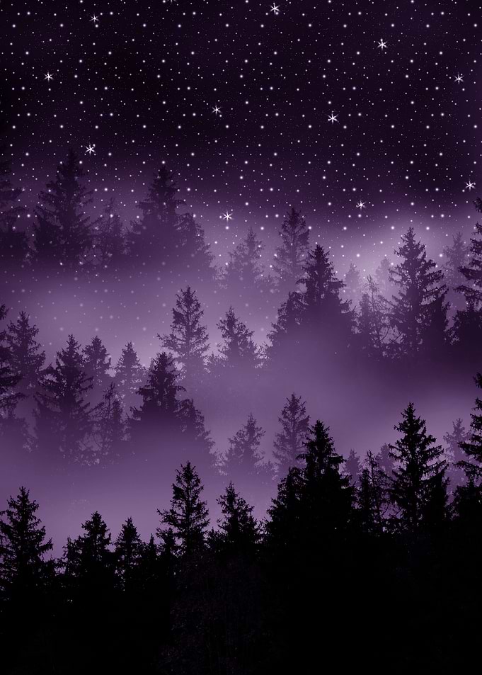 Purple Forest Galaxy Dream