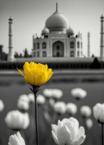 Yellow Flower Taj Mahal
