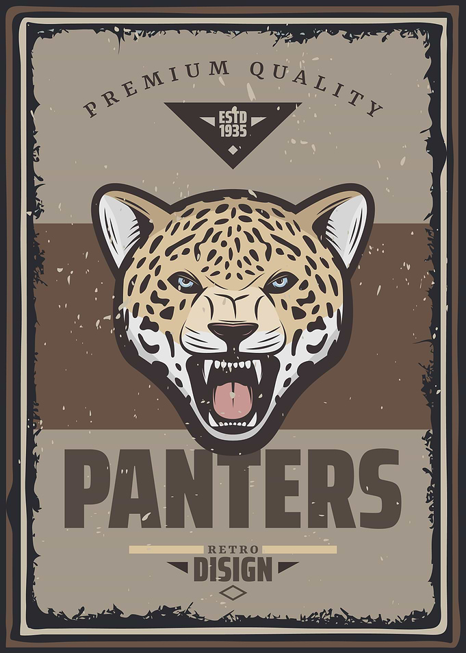 Retro Panters