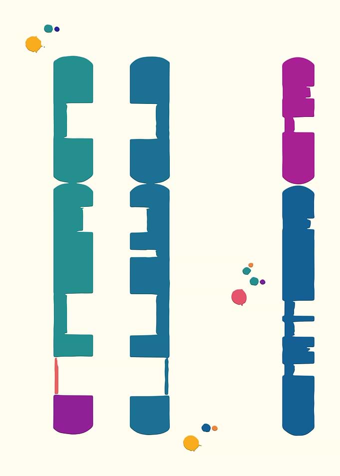 Painting Chromosome
