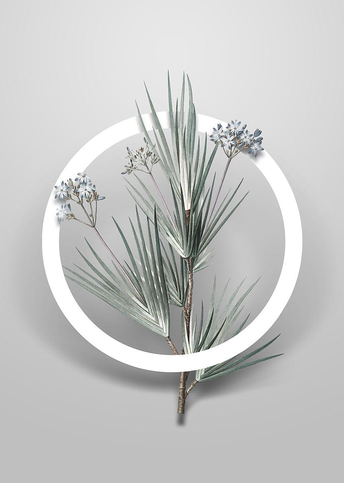 Vintage Blue Stars Flower