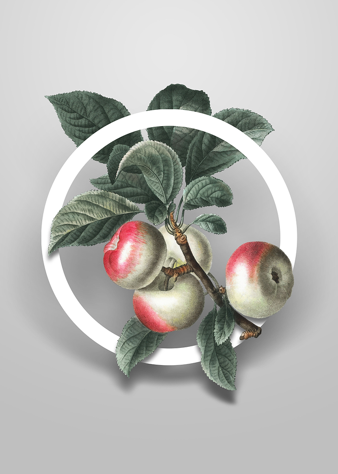 Vintage Apple Flower Art