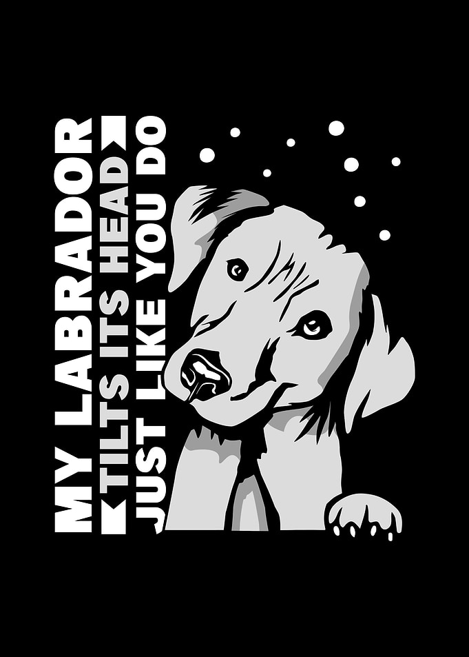Labrador