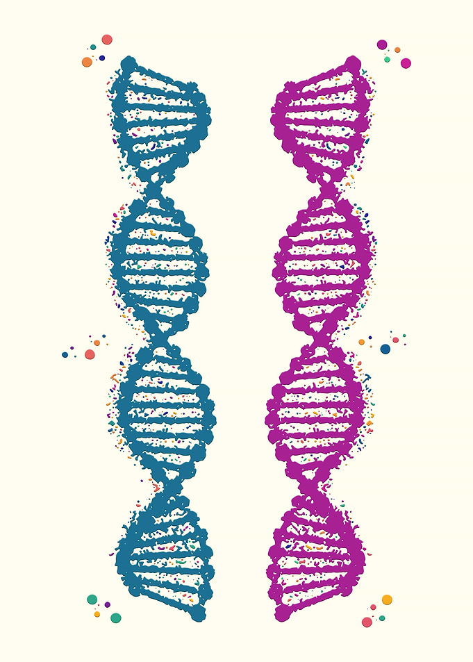Painting Dna Double Helix