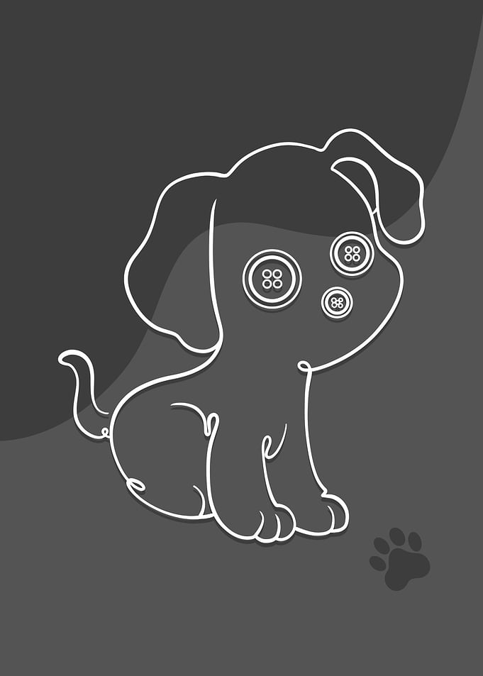 Cute dog