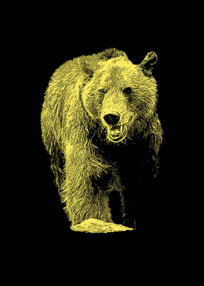 Brown bear