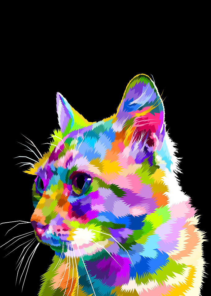 Colorful cats face