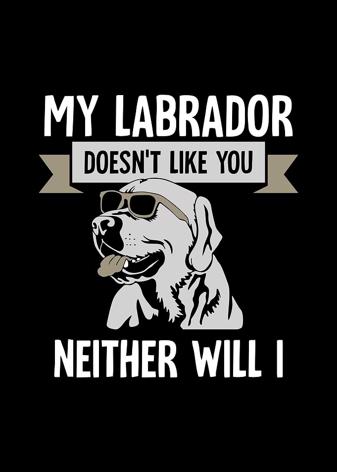 Labrador
