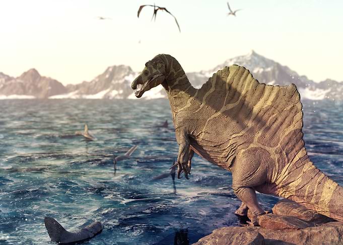Spinosaurus dinosaur
