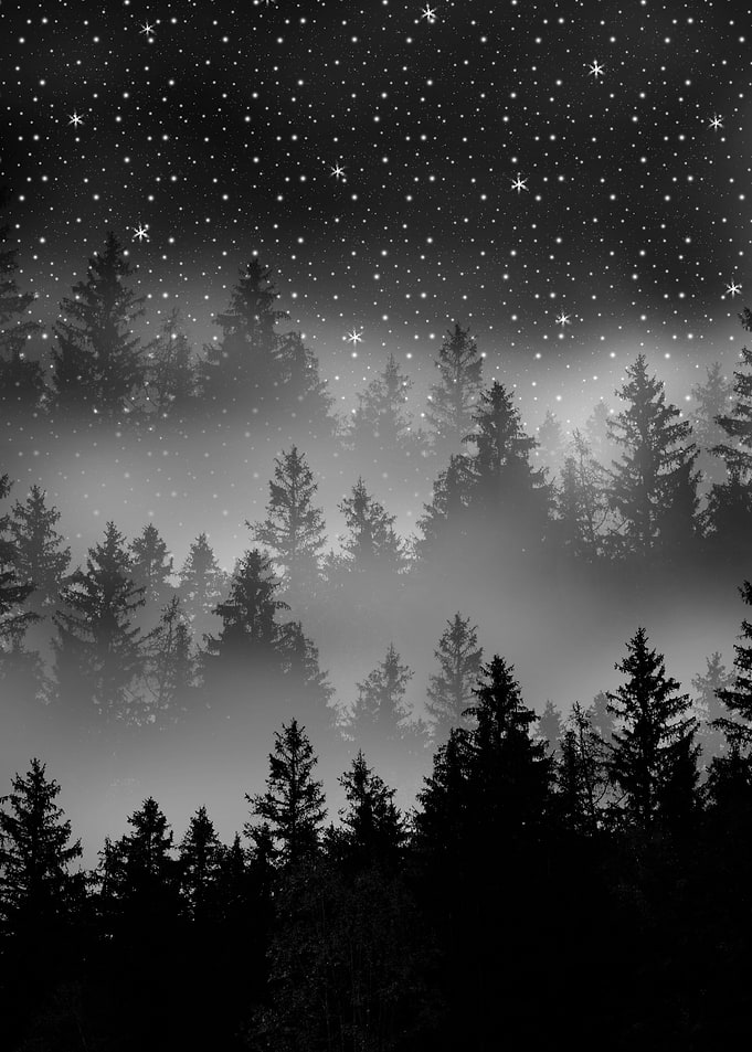 Black White Forest Galaxy