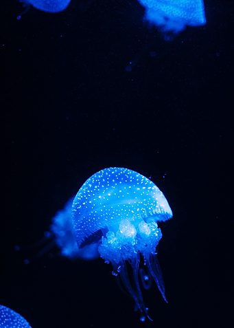 Under Water