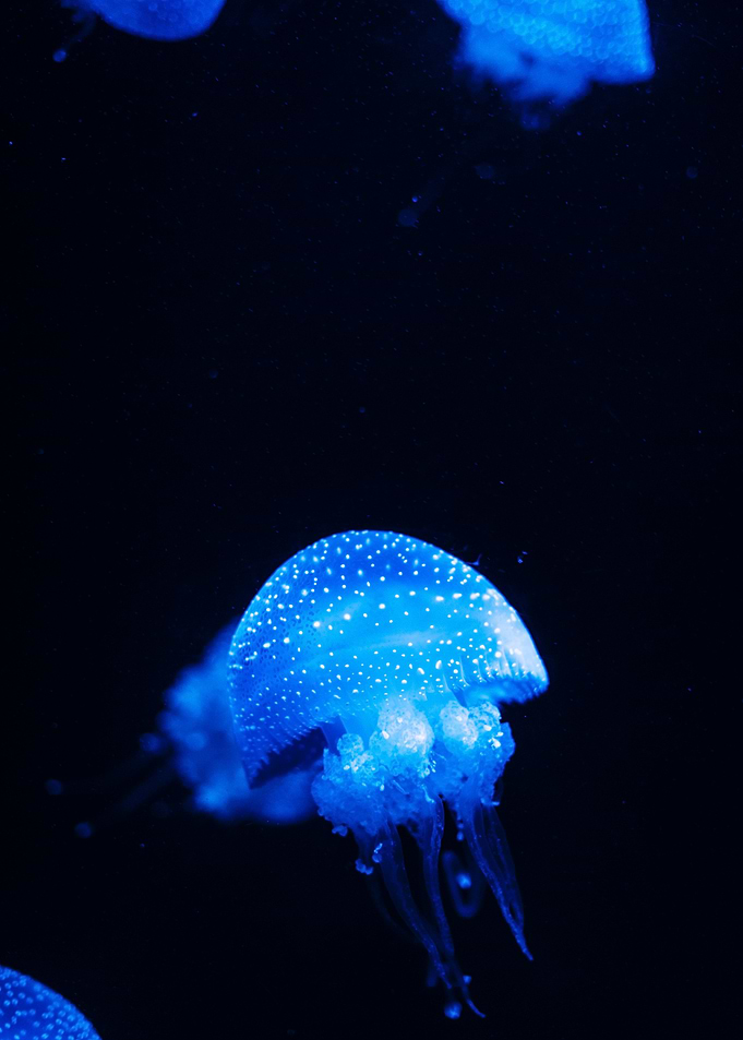 Under Water