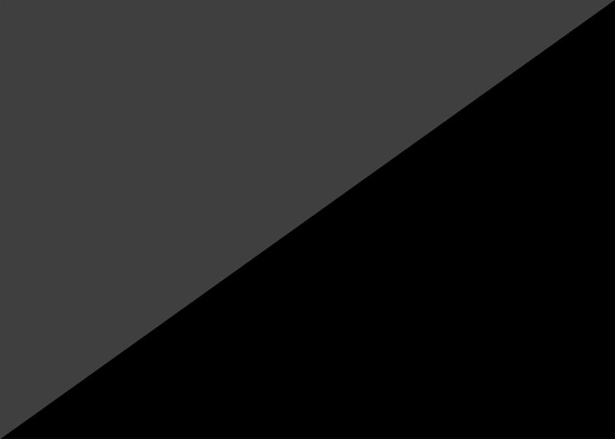 Anarcho Nihilism flag