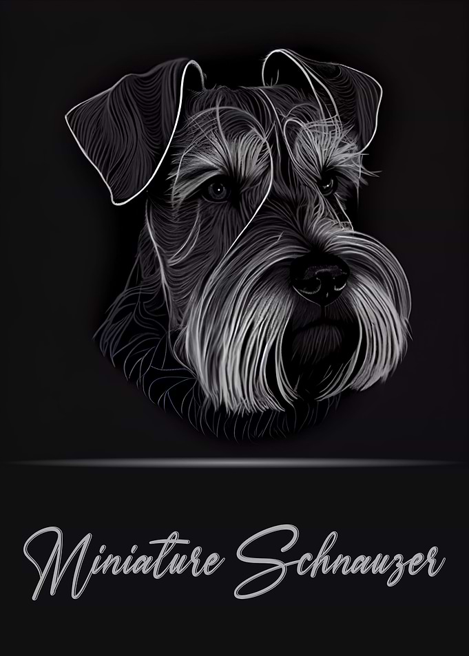 Miniature Schnauzer