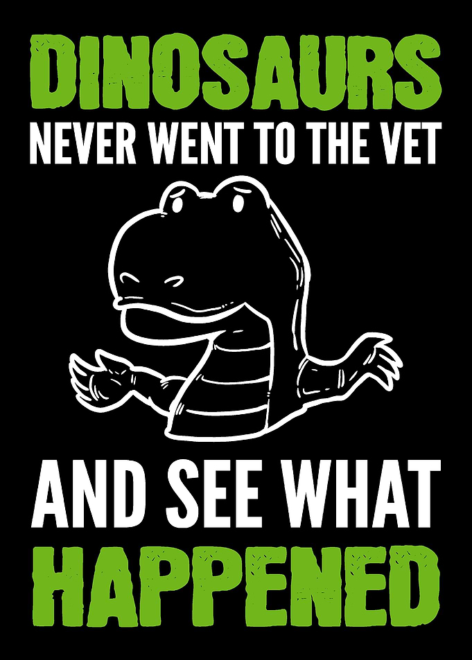 Never Went Vet Comedian Gi