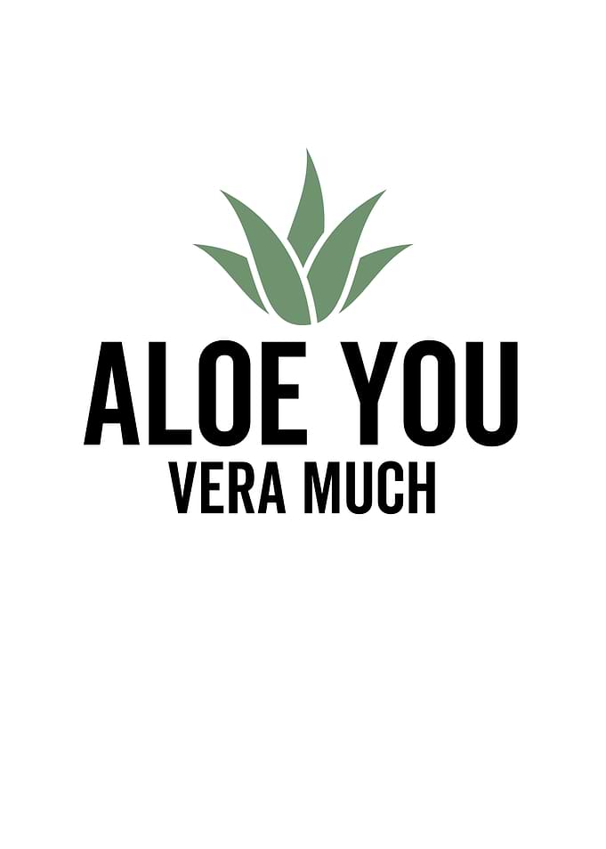 Aloe You Vera Much