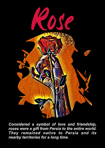 Rose Flower