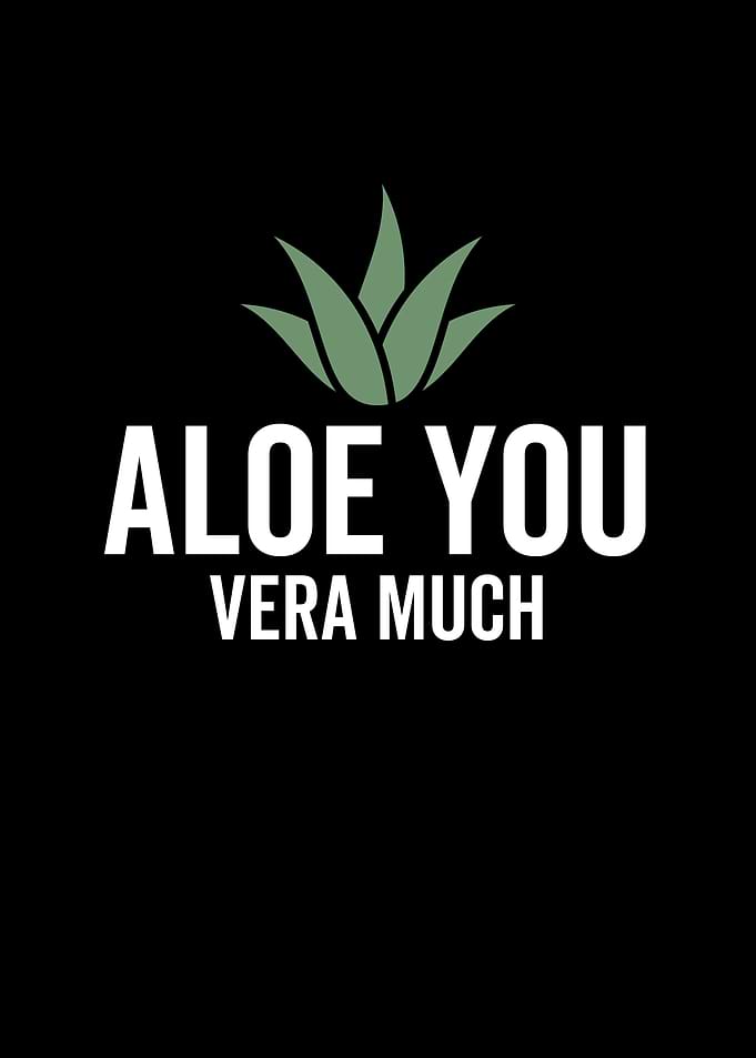 Aloe You Vera Much