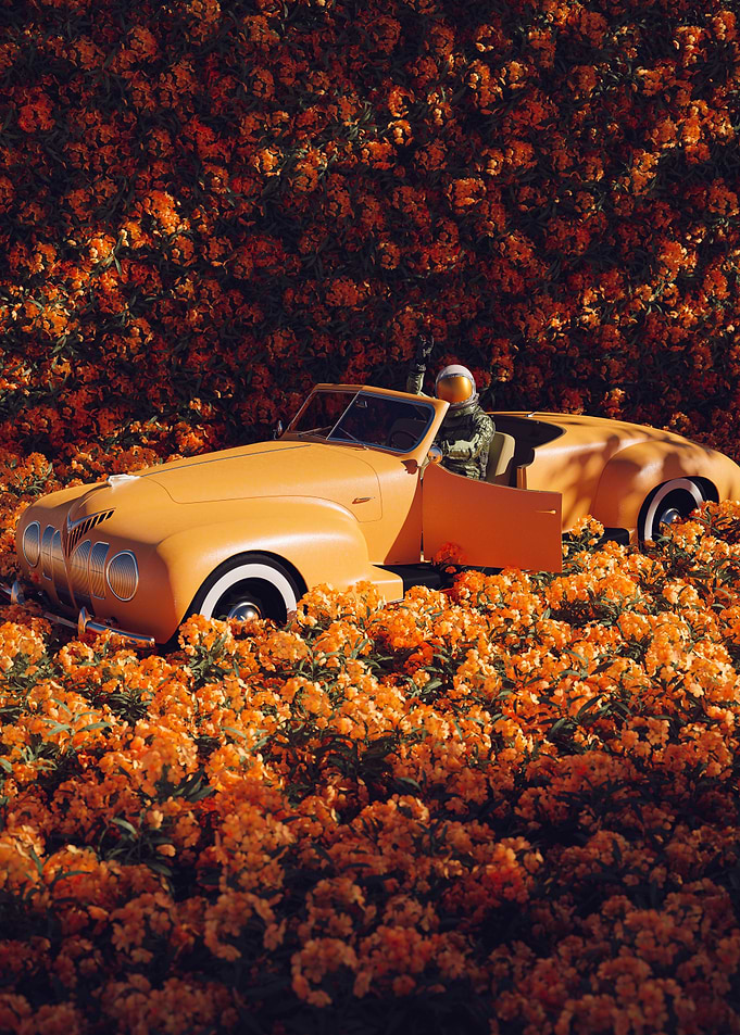Orange Beauty