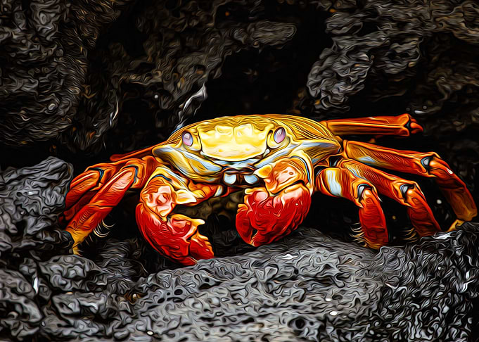 Crab