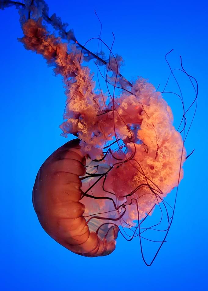 Under Water